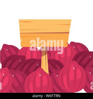 Oignons rouges ferme de légumes frais d'illustration vectorielle de l'étiquette en bois Illustration de Vecteur