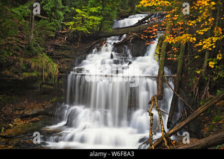 Tahquemenon la rivière avec son eau couleur ambre de tanin naturels trouvés en cascade sur Tahqemenon tombe dans la Péninsule Supérieure du Michigan. Banque D'Images