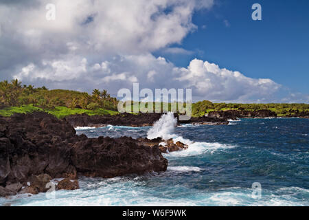 La Waikani chutes parmi la luxuriante forêt tropicale est l'une des nombreuses cascades qui se trouve le long de la route de Hana sur l'île de Maui. Banque D'Images