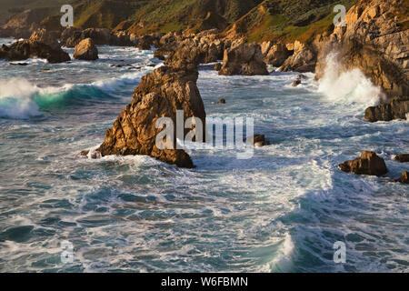 Printemps le lever du soleil sur la baie de Monterey en Californie sur la péninsule de Monterey avec fierté en fleurs de Madera. Banque D'Images