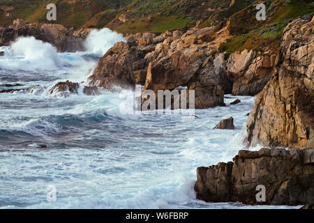 Printemps le lever du soleil sur la baie de Monterey en Californie sur la péninsule de Monterey avec fierté en fleurs de Madera. Banque D'Images