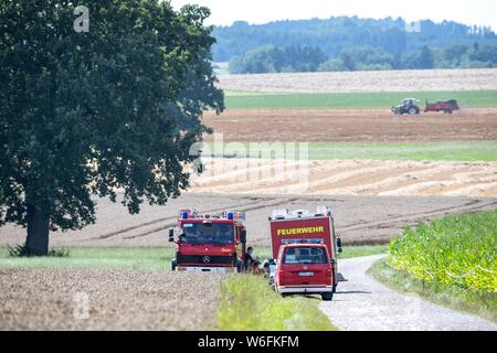 Jesenwang, Allemagne. 06Th Aug 2019. Les véhicules de secours sont debout sur un champ. Le pilote est décédé dans l'écrasement d'un petit avion à l'ouest de Munich. Un porte-parole de la police a déclaré que l'homme a décollé de l'aérodrome de Jesenwang, jeudi après-midi dans un avion ultra-léger et tomba dans un champ de maïs près de la communauté dans le district de Fürstenfeldbruck. Détails - comme la cause - ont d'abord pas claire. Credit : Sina Schuldt/dpa/Alamy Live News Banque D'Images