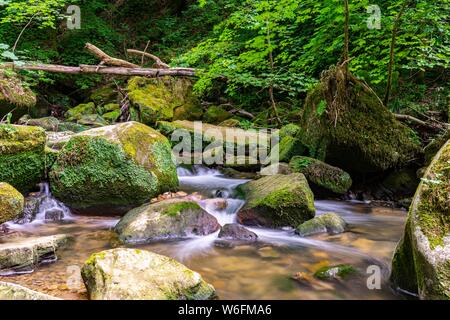 Scheissentumpel Cascade, Mullerthal au Luxembourg Banque D'Images