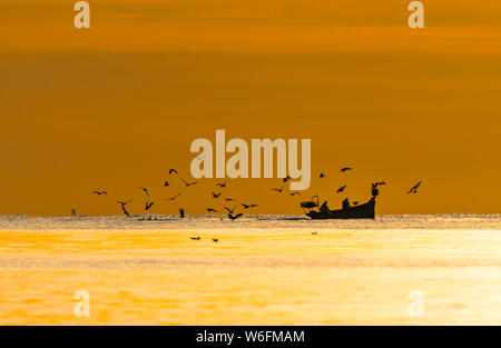 Bateau de pêche en mer avec des oiseaux volant au-dessus alors que le soleil se couche à l'automne au Royaume-Uni. Banque D'Images