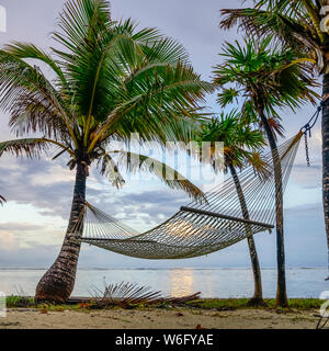 Hamac entre palmiers sur la plage au coucher du soleil; Bay Islands Department, Honduras Banque D'Images