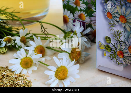 Les fleurs et les feuilles de camomille médicinale blanc sont utilisés pour la médecine par les plantes dans le folk et la médecine officielle. Ensuite, de fleurs de camomille séchées en pharmacie Banque D'Images