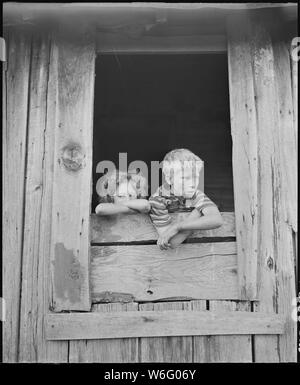 Les enfants de mineurs regarde par la fenêtre de la cuisine de la Monroe Jones house. Les fenêtres n'ont pas de vitres, les encadrements de porte n'ont pas de portes ; vieux quilts et boîtes sont utilisées au cours de l'hiver pour la protection. Kentucky Straight Creek Coal Company, mine de Belva, abandonnés après l'explosion [EN] 31/12/1945, quatre mille, Bell County (Kentucky). Banque D'Images