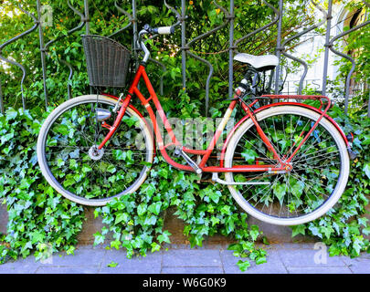Un vélo rouge accroché sur une clôture de fer couverts de lierre. Banque D'Images