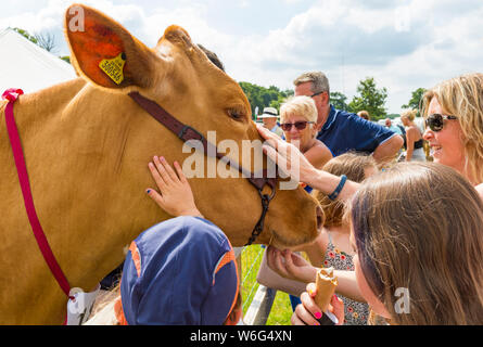 New Milton, Hampshire, Royaume-Uni. 1er août 2019. Des milliers troupeau au dernier jour de la New Forest & Comté de série pour apprécier les animaux et les activités par une chaude journée ensoleillée. Credit : Carolyn Jenkins/Alamy Live News Banque D'Images