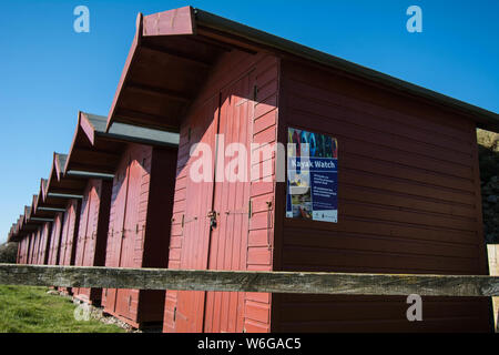 Cabines de plage à Branscombe, Angleterre Banque D'Images