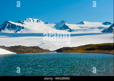 Un étang de kettle sans nom dans le parc national de Kenai Fjords lors d'une journée ensoleillée d'été; Alaska, États-Unis d'Amérique Banque D'Images