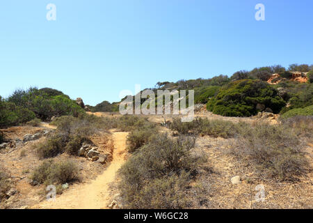 Les pistes en terre et vert des arbres faisant partie de la Réserve Naturelle de Baleeira Caminho do près de Albufeira Banque D'Images