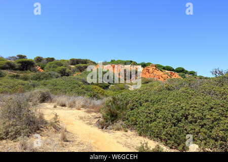 Une vue de la falaises rocheuses rouge et vert des arbres de la réserve naturelle de Baleeira Caminho do Banque D'Images