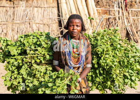 Femme arbore dans Arbore Village, vallée de l'Omo, dans le sud de l'ONU des peuples et nationalités, l'Éthiopie Région Banque D'Images