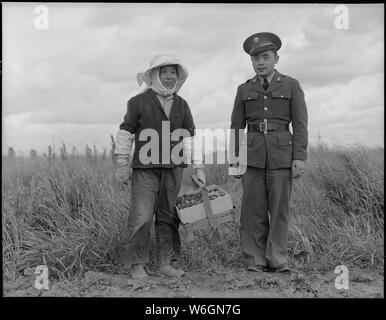 Florin, comté de Sacramento, en Californie. Un soldat et sa mère dans un champ de fraises. Le soldat . . . ; Portée et contenu : la légende complète pour cette photographie se lit comme suit : Florin, comté de Sacramento, en Californie. Un soldat et sa mère dans un champ de fraises. Le soldat, âgé de 23 ans, s'est porté volontaire le 10 juillet 1941, et est stationné au camp Leonard Wood, Missouri. Il a été mis en congé pour aider sa mère et de la famille se préparer pour leur évacuation. Il est le plus jeune de six ans les enfants, deux d'entre eux bénévoles dans United States Army. La mère, l'âge de 53 ans, venaient du Japon il y a 37 ans. Son mari est mort il y a 21 ans, Banque D'Images