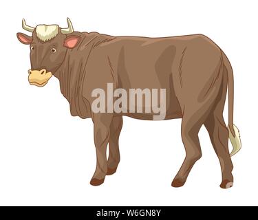 Animaux vache weda isolés cartoon Illustration de Vecteur