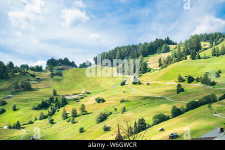 Alpages et sapins en Autriche, Alpes Banque D'Images