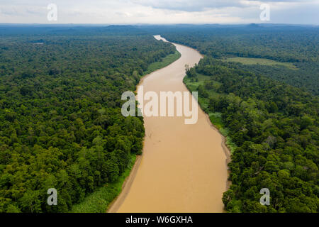 Drone aérien vue d'un long fleuve sinueux à travers une forêt tropicale humide Banque D'Images