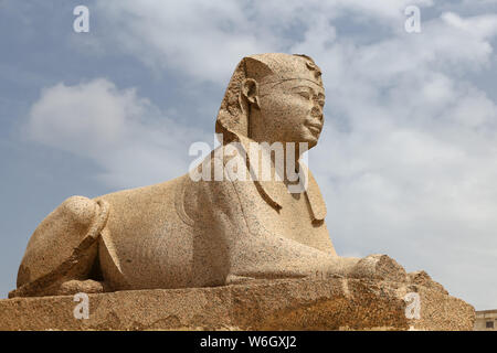 Sphinx dans Serapeum d'Alexandrie, Alexandrie, Egypte Ville Banque D'Images