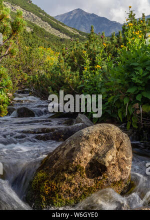 L'un des nombreux cours d'eau sur la montagne de Rila en Bulgarie. C'est tourné sur un sentier à pic Musala, et montagnes au loin ! Banque D'Images