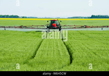 Un pulvérisateur à grande hauteur de déversement permet une application chimique de fongicide au sol sur le blé à croissance moyenne, près de Dugald, Manitoba, Canada Banque D'Images