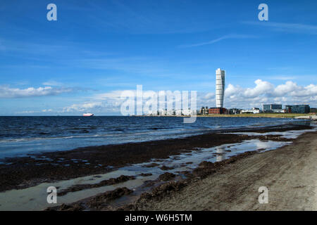 Une plage de sable à Malmö en Suède avec l'algue malodorante pourris sur elle avec une eau sale sale Banque D'Images