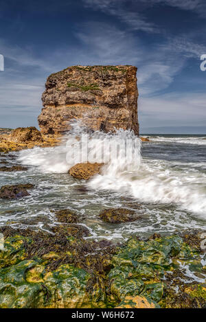 Marsden Rock, un de 100 pieds (30 mètres) de la pile de la mer au large de la côte nord-est de l'Angleterre, situé à Marsden, South Shields Banque D'Images