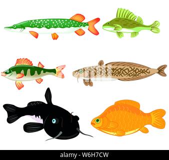 Les poissons d'eau douce est isolé sur fond blanc Illustration de Vecteur