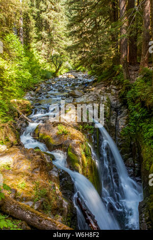 Sol Duc Falls, piste de la ligne haute, Olympic National Park, Washington, United States of America Banque D'Images