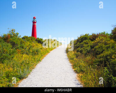 Vue de la tour Nord - le phare dans l'une des îles de Schiermonnikoog Iles frisonnes, sur dune de sable sur fond de ciel bleu. La Hollande. Aux Pays-Bas. Été Banque D'Images