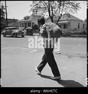 Hayward, Californie. Les jeunes sur le soulagement. High school student appelant pour les surplus de produits de base pour sa famille à l'aide d'urgence. Il a un travail de l'Administration nationale de la jeunesse le nettoyage de la laboratoire de chimie à 10,00 $ par mois. Il voulait un samedi après-midi et dimanche travail à lui fournir de l'argent de poche Banque D'Images
