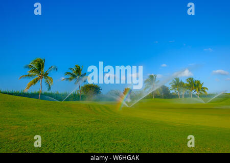 Terrain de golf sur l'île Grand Cayman étant l'eau, îles Caïman Banque D'Images