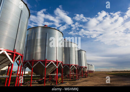 Une rangée de silos à grande échelle exploitation agricole sous un ciel bleu avec des nuages épars ; Legal, Alberta, Canada Banque D'Images