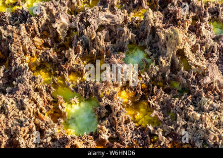 Les sources chaudes et les geysers acides minéraux, des formations, des gisements de sel dans le cratère du volcan Dallol, dépression Danakil ; région Afar, Ethiopie Banque D'Images