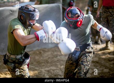 En recrutement de l'entreprise Delta, 1er Bataillon de recrutement et de formation, la pratique, les principes de combat corps à corps Marine Recruter Depot Parris Island, S.C, 25 juillet 2019. Le 25 juillet 2019. L'entraînement du corps est un exercice qui illustre les fondamentaux de la Marine Corps Arts Martiaux et recrues des forces canadiennes à surmonter la fatigue physique et mentale. (U.S. Marine Corps photo par Lance Cpl. Dylan Walters). () Banque D'Images