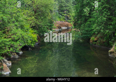 Ou : Douglas Co., Cascades. Réflexions de l'eau dans le sud de la rivière Umpqua, dans une section encore bordé de falaises, montrent une pile rock méditatif Banque D'Images