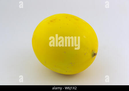 Melon jaune connu sous le melon d'or, sur fond neutre blanc Banque D'Images