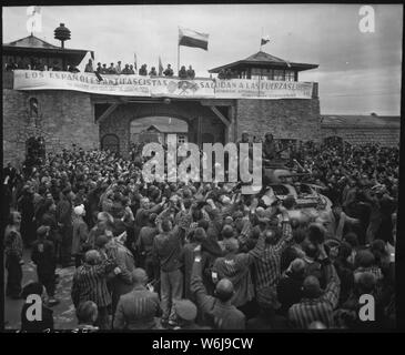 Prisonniers libérés dans le camp de concentration de Mauthausen près de Linz, Autriche, donner bienvenue à vibrant cavaliers de la 11e Division blindée. La bannière qui se trouve dans le mur a été faite par l'espagnol. prisonniers loyalistes ; notes générales : utilisation de la guerre et des conflits Nombre 1299 lors de la commande d'une reproduction ou demande d'informations sur cette image. Banque D'Images