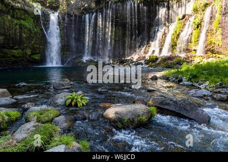 Chute d'eau Shiraito, Parc National de Fuji-Hakone-Izu, préfecture de Yamanashi, Japon Banque D'Images