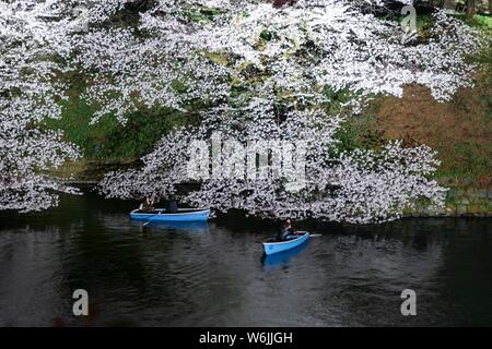 Canal avec des barques en face de cerisiers en fleurs sur un canal de nuit, Japanese cherry blossom festival au printemps, Hanami, Chidorigafuchi Banque D'Images