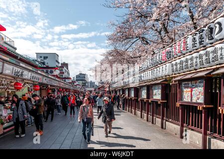 De nombreux visiteurs dans chemin décoré avec des lanternes de caractères chinois, temple bouddhiste, le temple Senso-ji, Japanese cherry blossom, Asakusa, Tokyo Banque D'Images