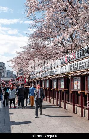 De nombreux visiteurs dans chemin décoré avec des lanternes de caractères chinois, temple bouddhiste, le temple Senso-ji, Japanese cherry blossom, Asakusa, Tokyo Banque D'Images