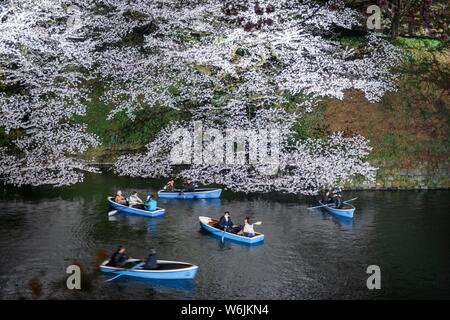Canal avec des barques en face de cerisiers en fleurs sur un canal de nuit, Japanese cherry blossom festival au printemps, Hanami, Chidorigafuchi Banque D'Images