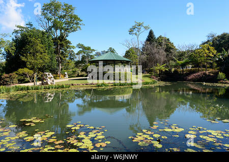 Étang de nénuphars et gazebo dans Jardins Botaniques de Maleny, Queensland, Queensland, Australie Banque D'Images