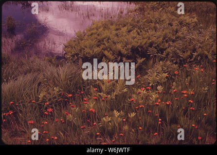 PONTOOK ZONE DU RÉSERVOIR SUR LA RIVIÈRE ANDROSCOGGIN, ENTRE LE LAC LAC UMBAGOG ET BERLIN Banque D'Images