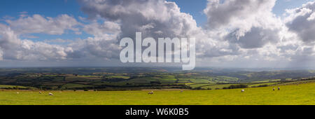 Une scène traditionnelle campagne du Devon, de moutons dans un champ avec vue sur une distribution étendue de champs dans le devon rural Banque D'Images