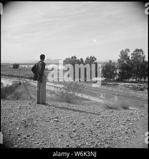 Poston, Arizona. Au premier plan on peut voir le canal d'irrigation qui fournira à l'aide d'une . Poston . . ; Portée et contenu : la légende complète pour cette photographie se lit comme suit : Poston, Arizona. Au premier plan on peut voir le canal d'irrigation qui fournira de l'eau agricole avec Poston. Ce canal reçoit son eau du barrage Parker. Dans l'arrière-plan, on peut voir le fleuve Colorado. Banque D'Images