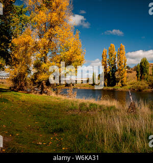 Snowy River, Dalgety, montagnes enneigées, NSW, Australie avec arbres en couleurs d'automne Banque D'Images