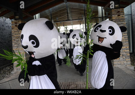 Les mangeoires chinois vêtus de costumes panda dire adieu à la paire pandas géants, Jin Bao Bao et Hua Bao, destinées à la Finlande à la base de Dujiangyan Banque D'Images