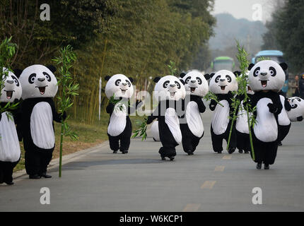 Les mangeoires chinois vêtus de costumes panda dire adieu à la paire pandas géants, Jin Bao Bao et Hua Bao, destinées à la Finlande à la base de Dujiangyan Banque D'Images